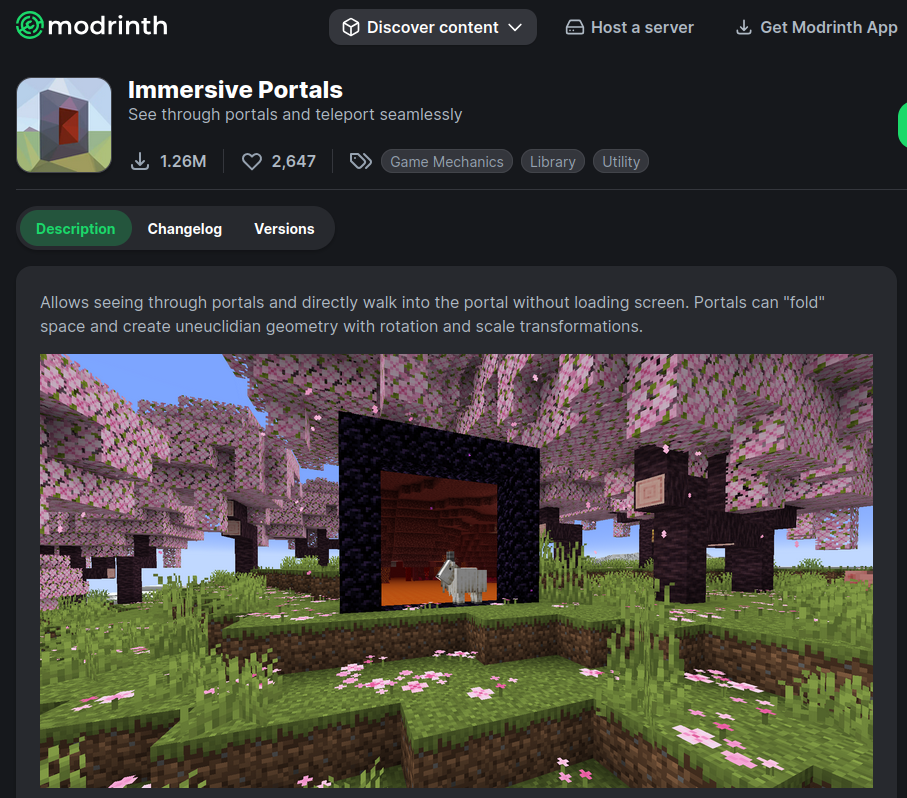 Java immersive portals mod